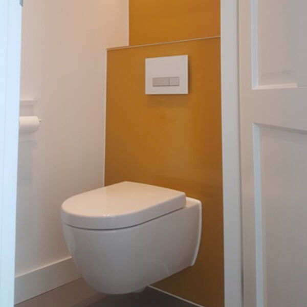 logica Gedetailleerd bijgeloof Glazen toiletachterwand op maat | GLAZZ